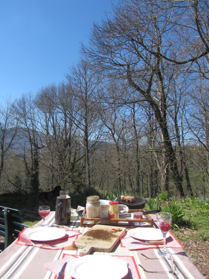 Les Cimes - Le Gite Saint-Pierre-de-Rivière Eksteriør billede